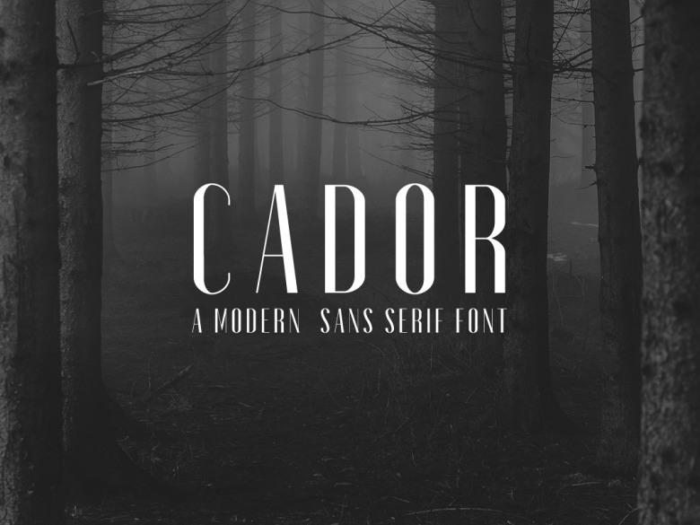 Cador Font Family - Download Fonts