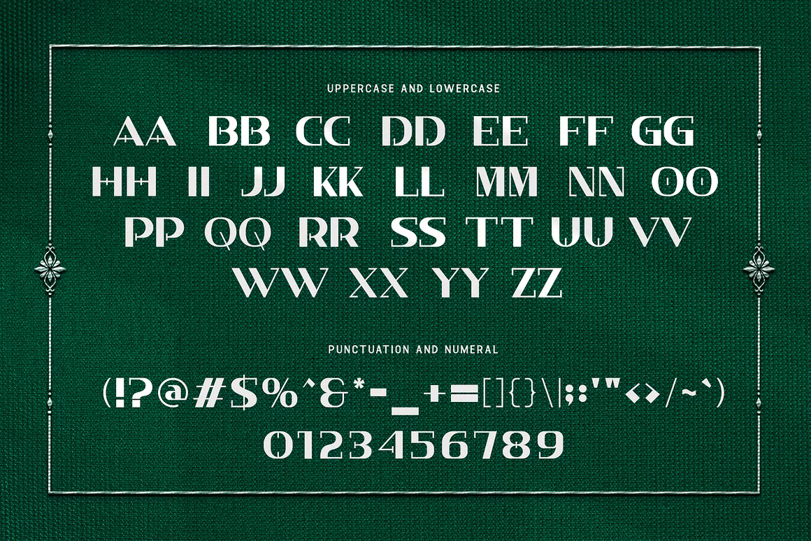 Cryptonus Serif Font -3