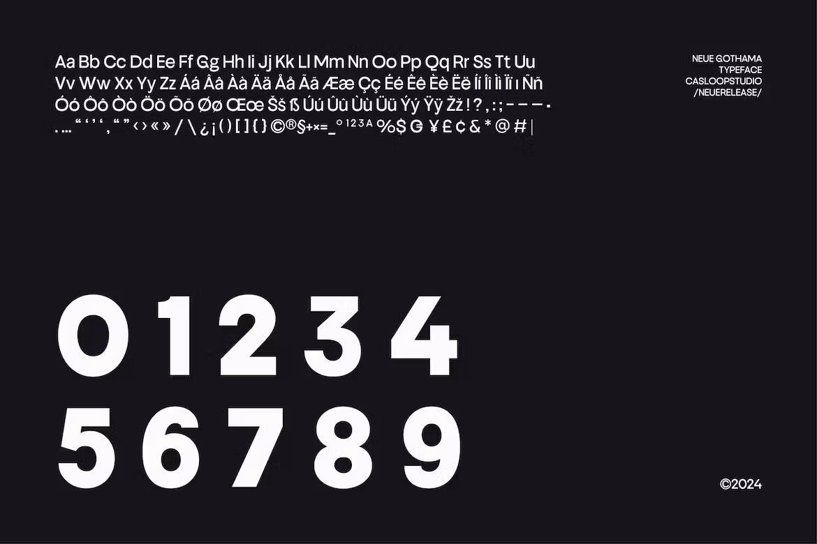 Neue Gothama Sans Serif Font -3
