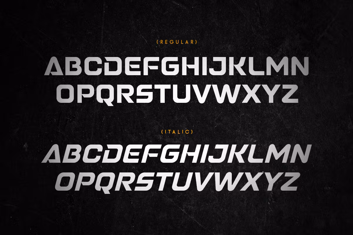 Speedo Sans Serif Font -3