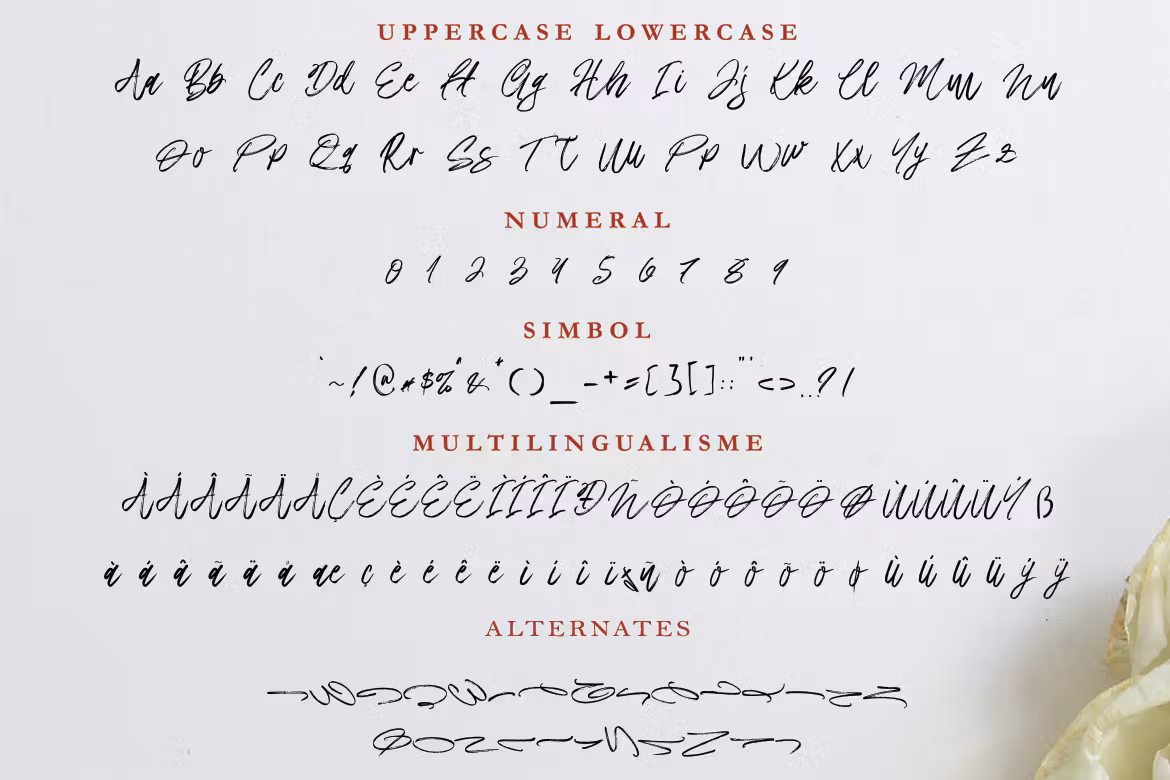 Magest Brush Font -3