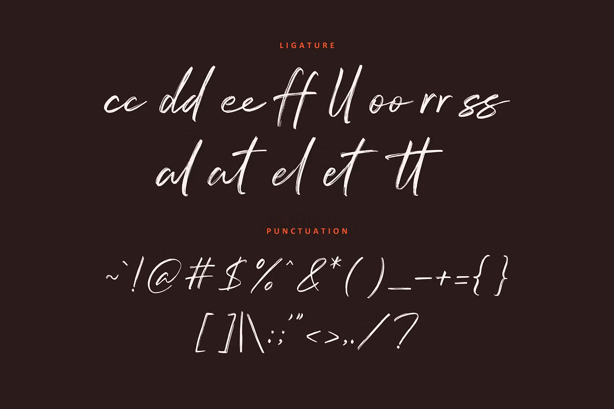 Renotis Brush Font -3